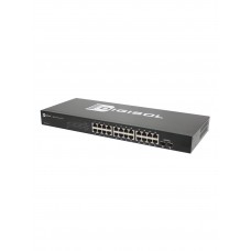 DG-GS1026 Unmanaged Switch